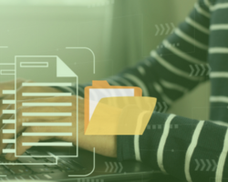 document management basics